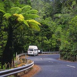 Waipoua Lodge