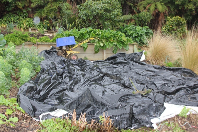 Garden partially covered and shedding light rain