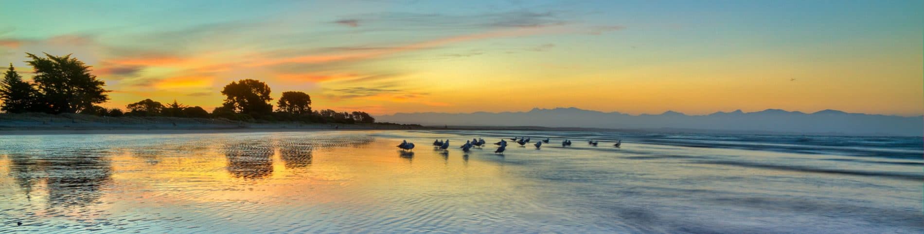 Tahunanui-Beach