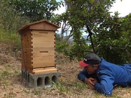 Matua Garden Bees